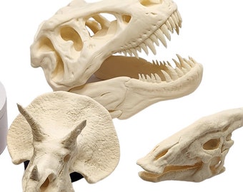 T-Rex Parasaurolophus Triceratops Smilodon Skull Realistic 3D Printed