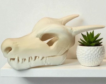 3D Printed Charizard Skull Replica – Bone-Like Gamer Decor