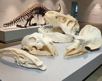 Cráneos de dinosaurios impresos en 3D: T-Rex, Triceratops, Smilodon, Parasaurolophus / Réplicas realistas de fósiles para coleccionistas