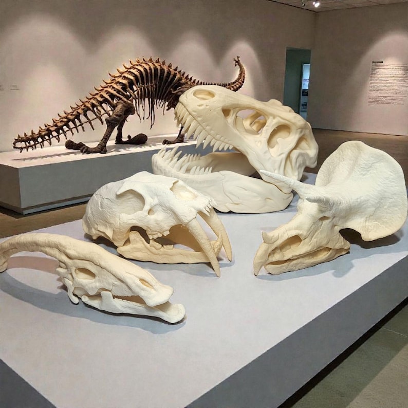 3D Printed Dinosaur Skulls T-Rex, Triceratops, Smilodon, Parasaurolophus | Realistic Fossil Replicas for Collectors image 1