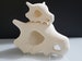 Real Pokemon Cubone Detailed 3-D Printed Skull 