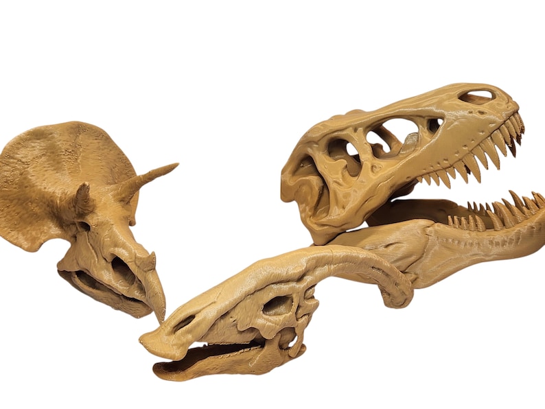 3D Printed Dinosaur Skulls T-Rex, Triceratops, Smilodon, Parasaurolophus | Realistic Fossil Replicas for Collectors image 3