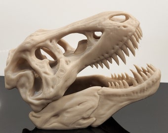 T Rex Skull 3d Print - Etsy
