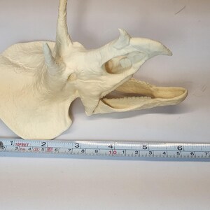 3D Printed Dinosaur Skulls T-Rex, Triceratops, Smilodon, Parasaurolophus | Realistic Fossil Replicas for Collectors image 15