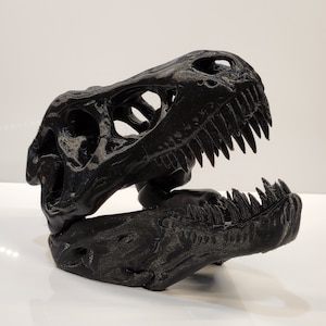 May include: A black 3D printed dinosaur skull with a detailed jaw and teeth.