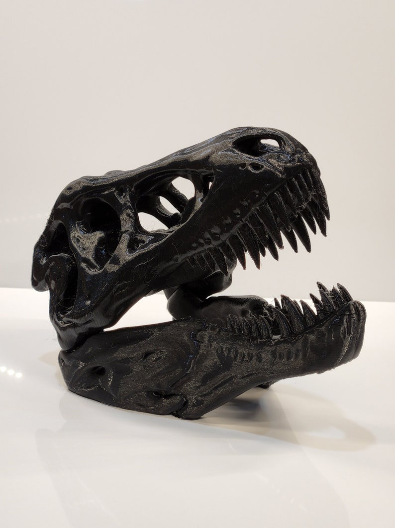 May include: A black 3D printed dinosaur skull with a detailed jaw and teeth.