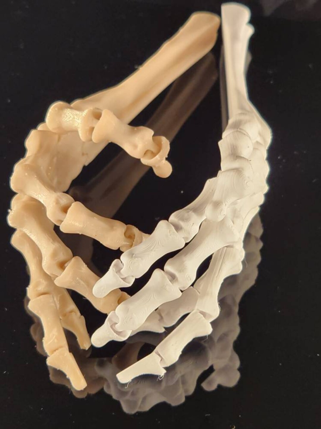 Articulated Skeleton Hand 3D Printed Etsy