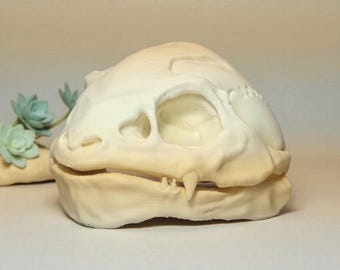 Venusaur Skull Replica – 3D Printed Pokémon Fossil, Gamer Room Display, Desk Decor