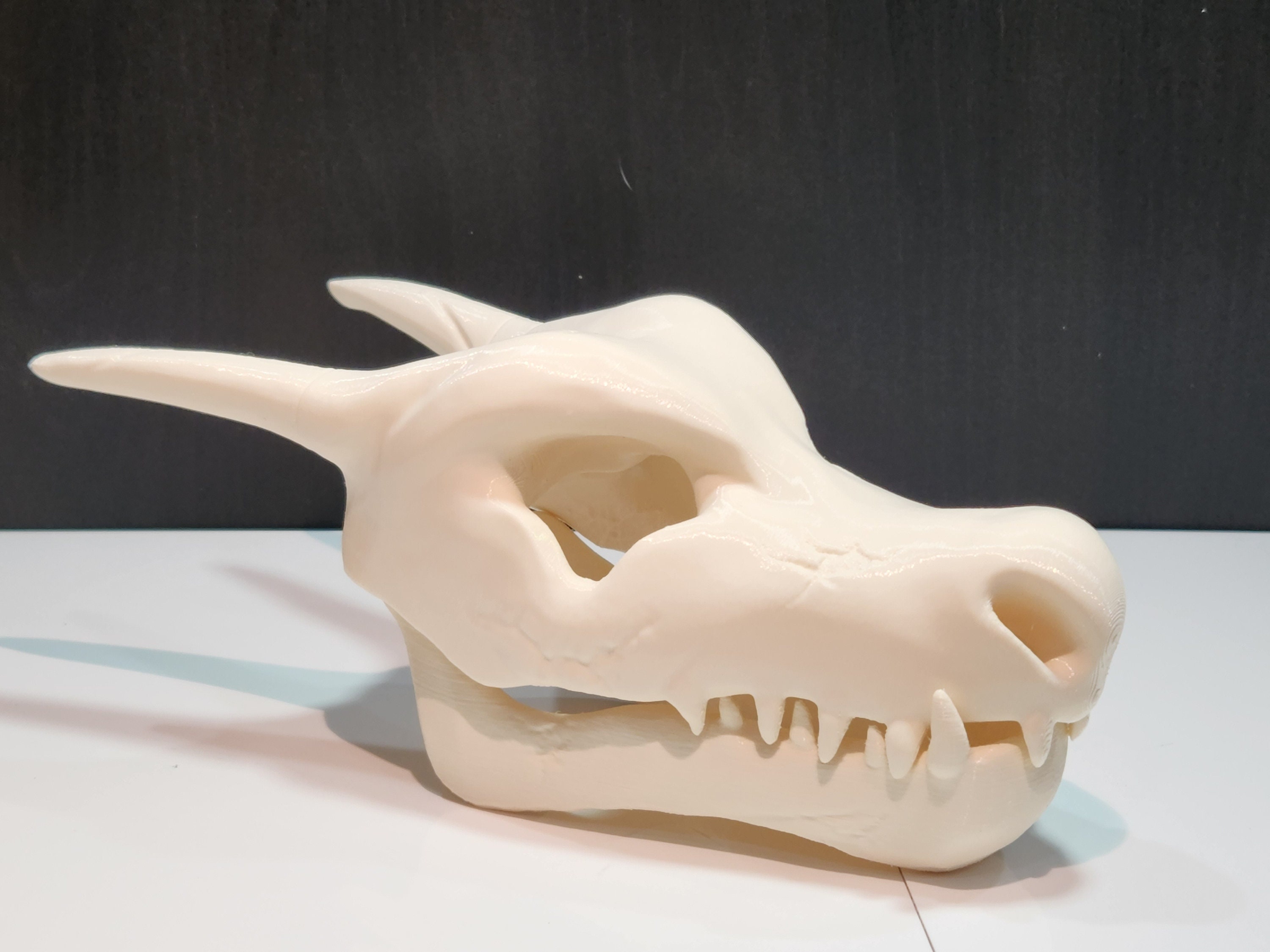 リザードン カメックス フシギバナ 頭蓋骨 3Dプリント 化石 ゲーマー