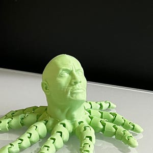 The Rocktopus 3D Printed Articulated Fidget - Fun Collectible Art, Unique Holiday Gift, Self Gift, or Desk Toy with 2 Color Options