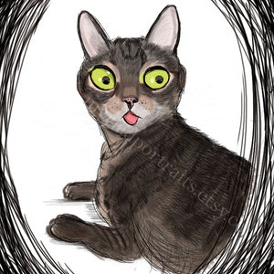 Caricatura de mascota personalizada / Ilustración de mascota semi realista / Dibujo de gato lindo / Ilustración de perro dibujada a mano / Regalo personalizado para amantes de las mascotas