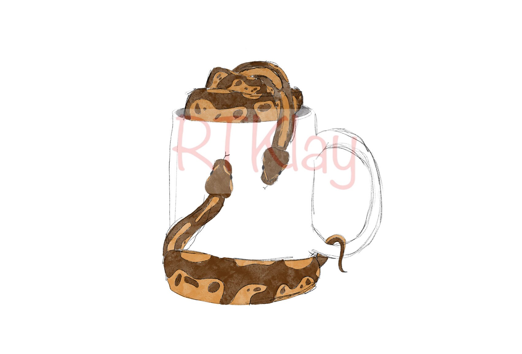 Cute Ball Python Drawing