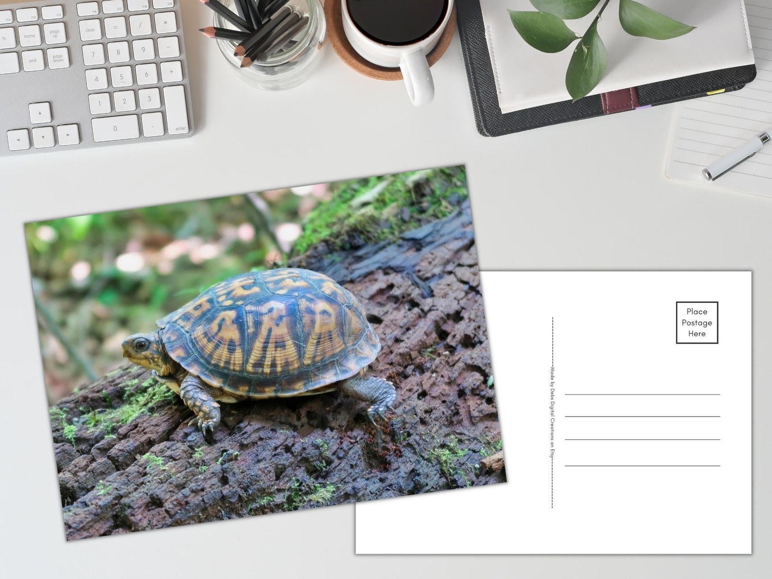 Turtle on a log printable 4x6 and 5x7 postcards digital etsy