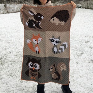 Woodland Animals Crochet Pattern | corner to corner (c2c) Crochet Pattern | Owl, Squirrel, Rabbit, Hedgehog, Racoon, Fox | Woodland Animals