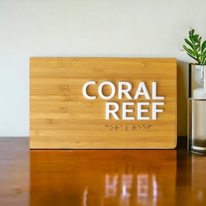 Personalized Braille Wooden Office Sign: White Acrylic Letters