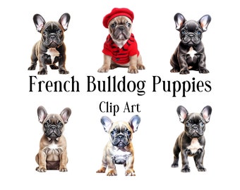 May include: Six French Bulldog puppies in various poses.  Three puppies are black and white, one is wearing a red beret and sweater, and two are fawn colored.  The text "French Bulldog Puppies Clip Art" is below the images.