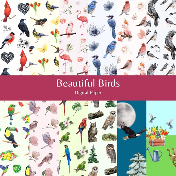 Beautiful Birds Digital Paper Bird Scrapbooking Paper - Etsy