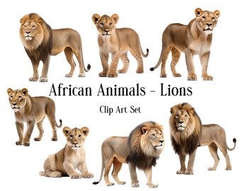 Lion Clipart Set: African Animals, PNG Files (Digital Download)