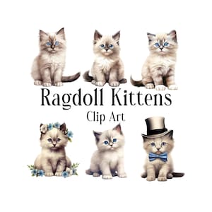 May include: Five Ragdoll kittens in various poses. The kittens are white with blue eyes. One kitten is wearing a blue bow tie and a black top hat. Another kitten is wearing a blue flower crown. The text "Ragdoll Kittens Clip Art" is below the kittens.