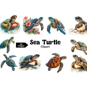 Sea Turtle Clipart - Sea Turtle PNG, Clip Art, Scrapbook, Junk Journal, Crafts