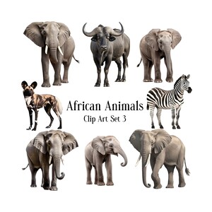 African Animals Clipart: Elephant, Zebra, Buffalo (Digital Download)