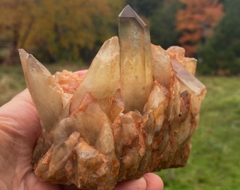 5 inch Healer Quartz Cluster Group with Citrine Crystal, 2 lb 5 oz, 1054gr