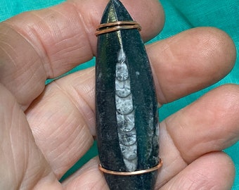 Orthoceras Fossil Pendant, 2.2 inches, with cord