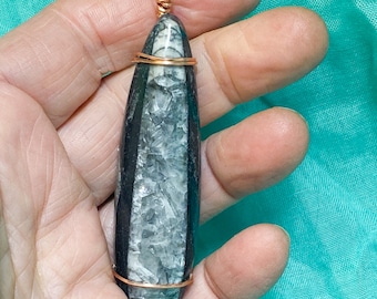 Orthoceras Fossil Pendant, about 2.6 inches, with cord