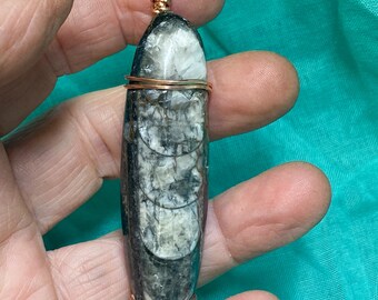 Orthoceras Fossil Pendant, 2.8 inch, with cord