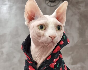 chandail sphynx