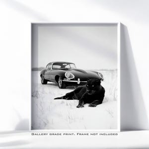 May include: Black and white print featuring a black jaguar lying in the snow with a classic black car in the background. The print has the text "GALLERY GRADE PRINT. FRAME NOT INCLUDED".