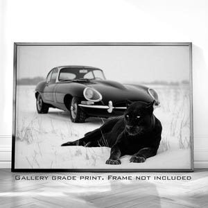 May include: Black and white framed print featuring a black panther lying in the snow with a classic black car in the background. The print includes the text "GALLERY GRADE PRINT. FRAME NOT INCLUDED."