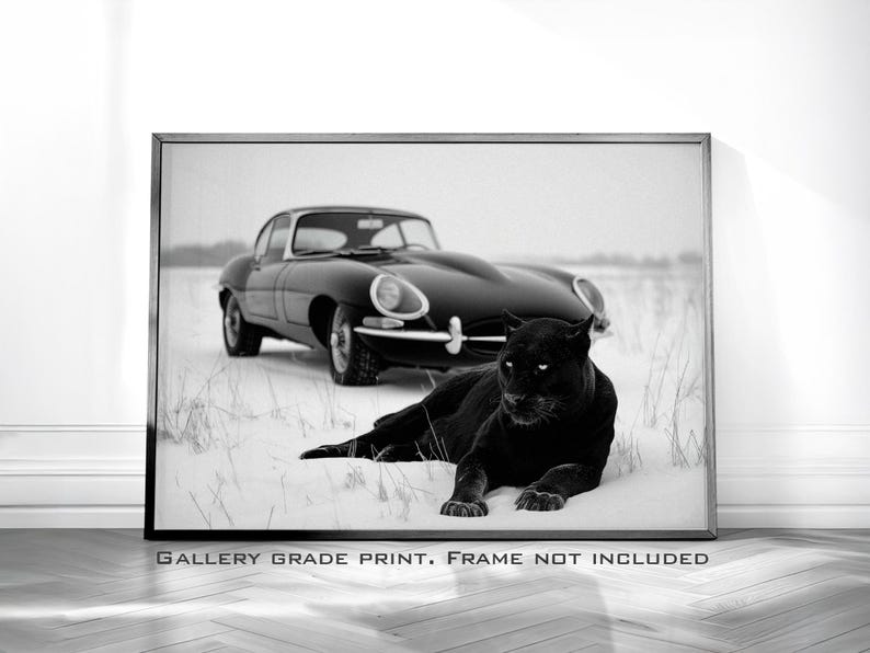 May include: Black and white framed print featuring a black panther lying in the snow with a classic black car in the background. The print includes the text "GALLERY GRADE PRINT. FRAME NOT INCLUDED."