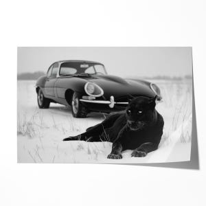 Jaguar E-Type Art Print: Luxury Sports Car Photography on Luster Paper image 3