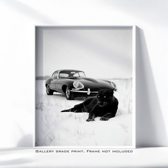 Jaguar E-Type Art Print: Luxury Sports Car Photography on Luster Paper
