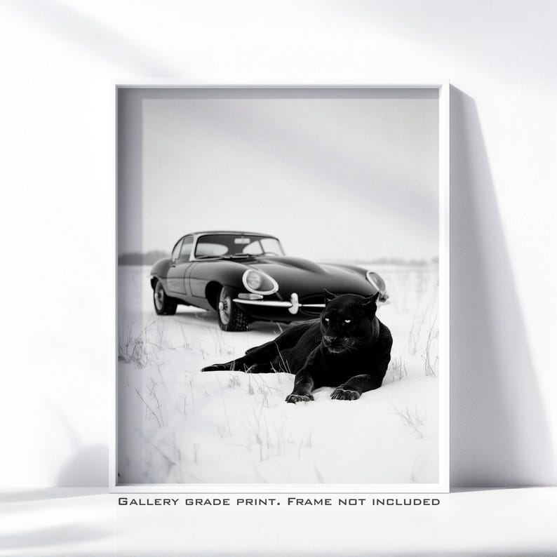 May include: Black and white print featuring a black jaguar lying in the snow with a classic black car in the background. The print has the text "GALLERY GRADE PRINT. FRAME NOT INCLUDED".