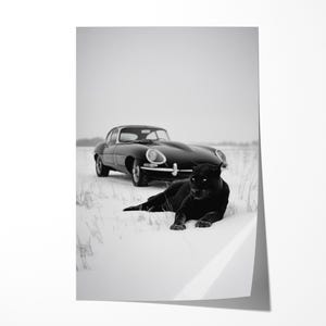 Jaguar E-Type Art Print: Luxury Sports Car Photography on Luster Paper image 2