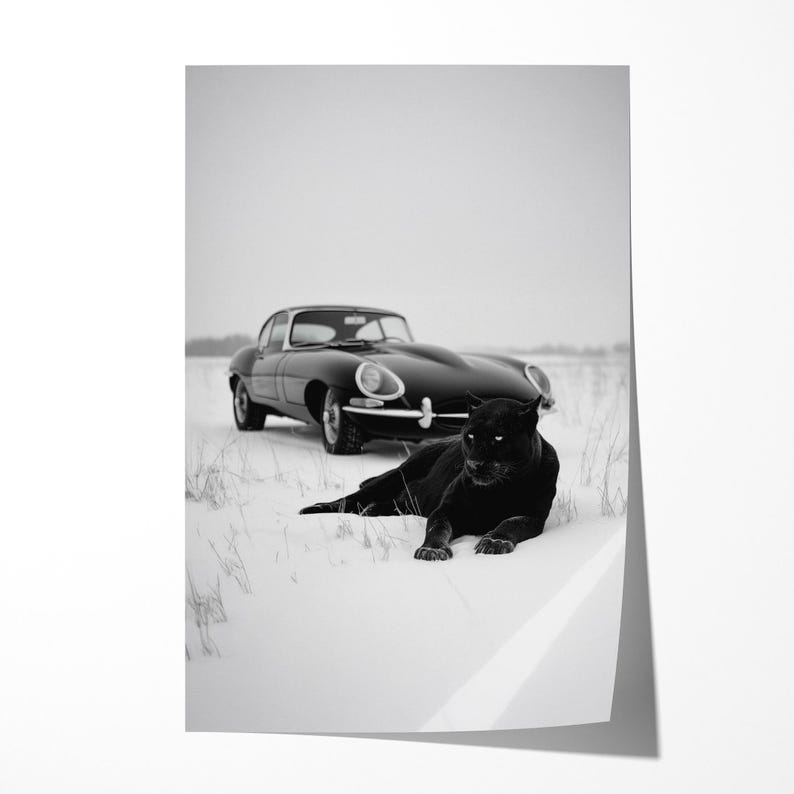 Jaguar E-Type Art Print: Luxury Sports Car Photography on Luster Paper image 2