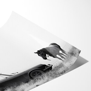 Vintage Porsche 911 and horse Print: Black and White Sports Car Photography Bild 9