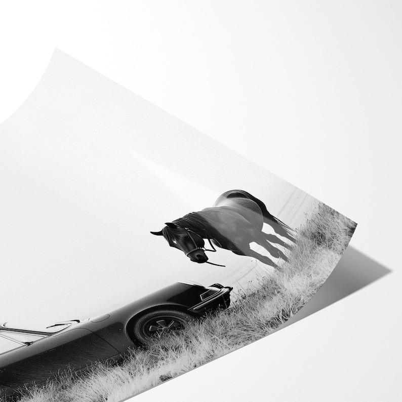Vintage Porsche 911 and horse Print: Black and White Sports Car Photography Bild 9