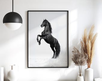 Black Stallion– High-Resolution Horse Photo Print,  Black-and-White Wall Art
