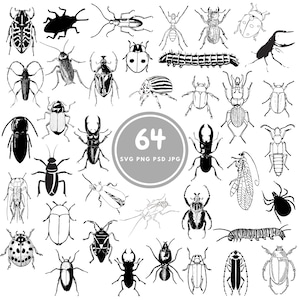Könnte beinhalten: Ein Set mit 64 Schwarzweiß-Vektorillustrationen verschiedener Insekten, Käfer und Wanzen. Die Illustrationen sind im Vintage-Stil gehalten und eignen sich perfekt für Bastelprojekte, Scrapbooking oder digitales Design.