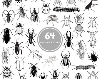 Bug SVG, 64 beetle svg Bundle, PNG, PSD