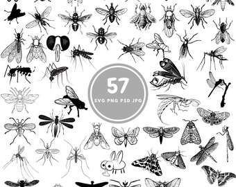 Fly SVG, 57 mosquito svg Bundle, PNG, PSD