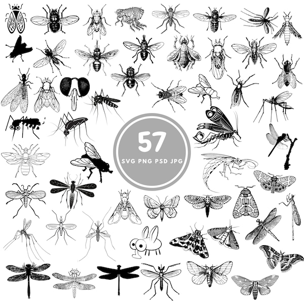 Fly SVG, 57 mosquito svg Bundle, PNG, PSD