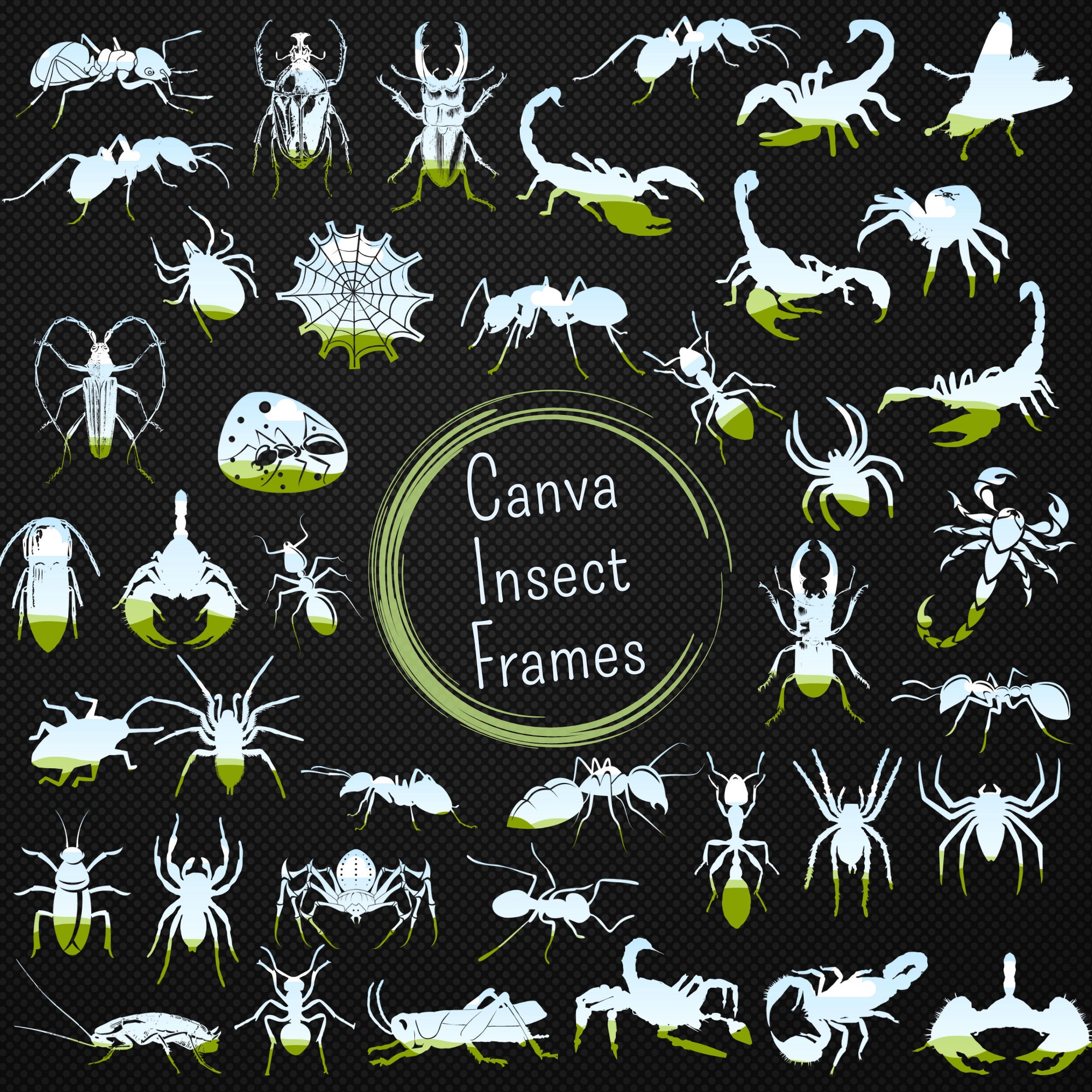 42 Canva Bug Frames, Custom Insect Frames for Canva, Ant Pdf Etsy