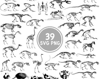 Animal Skeleton SVG Bundle - 39 Intricate Designs - Cricut, Silhouette - PNG & PSD