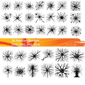 Neurons SVG Bundle, 35 Synapses designs, PNG, PSD