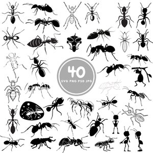 Ant SVG, 40 insect svg Bundle, PNG, PSD
