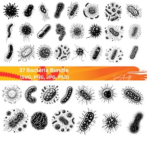 Bacteria SVG Bundle, 24 bacteria designs, PNG, PSD